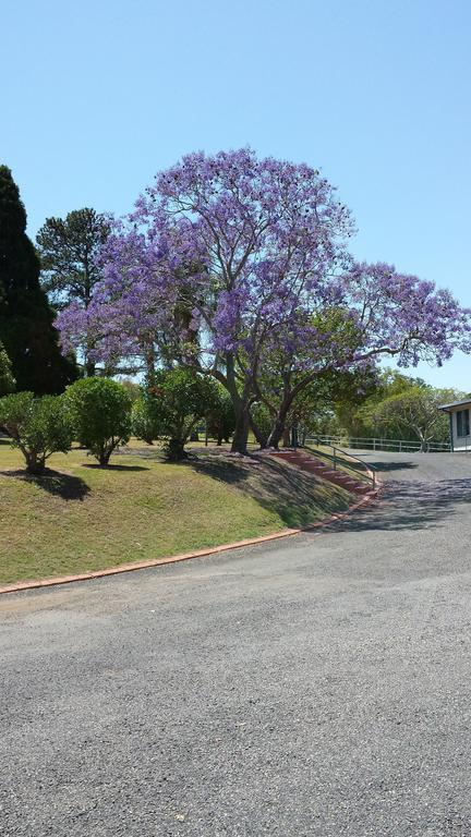 Jacaranda Motor Lodge Grafton Kültér fotó