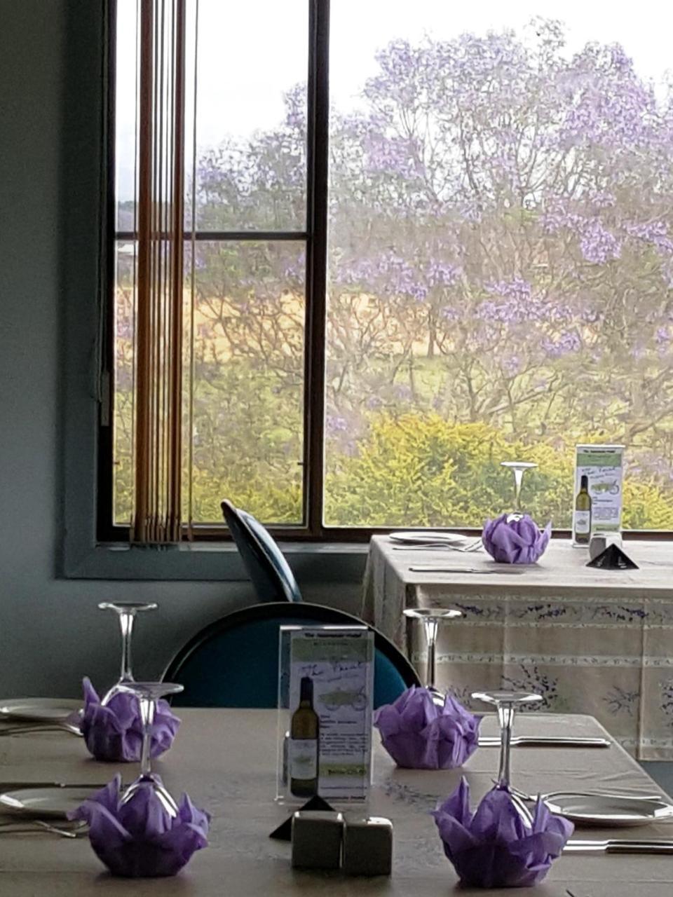 Jacaranda Motor Lodge Grafton Kültér fotó